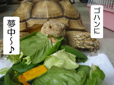 0936ddd5.jpeg