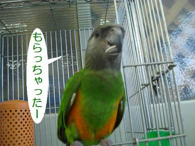7845fc07.jpeg