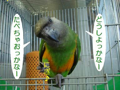 DSC00504.JPG