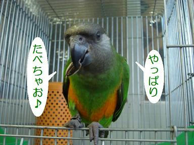 DSC00505.JPG