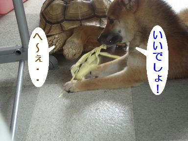 DSC00604.JPG