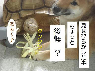 1c80f06f.jpeg