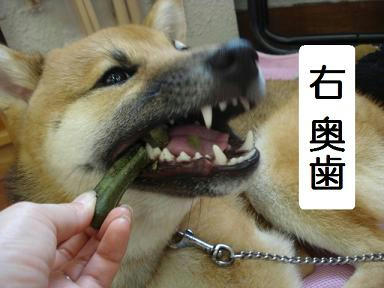 0ae86984.jpeg