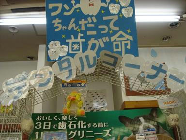 DSC00912.JPG