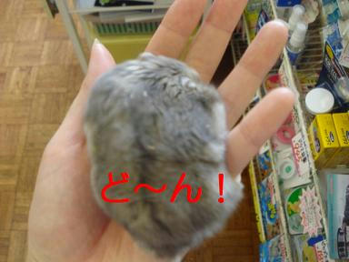 DSC00982.JPG