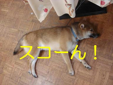 39a29657.jpeg