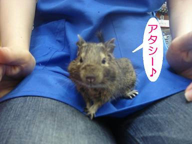 DSC01184.JPG
