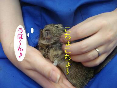 DSC01193.JPG