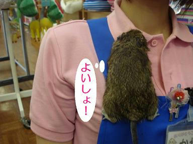 DSC01215.JPG