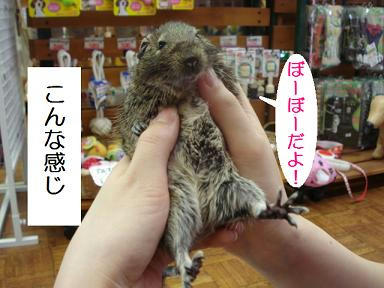 DSC01230.JPG