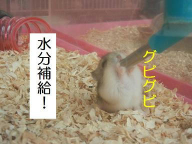 DSCN0108.JPG