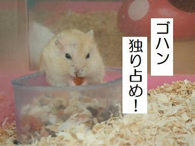 DSCN0118.JPG