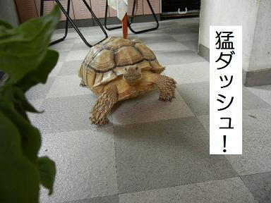DSCN0280.JPG