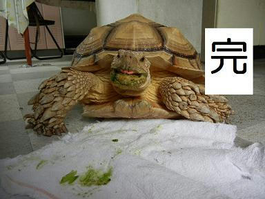 DSCN0323.JPG