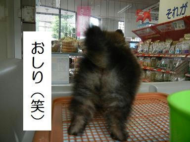DSCN0433.JPG