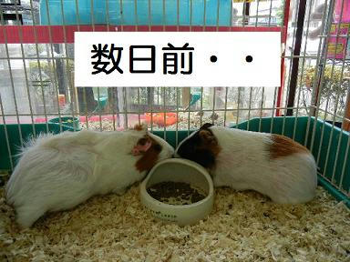 DSCN0543.JPG