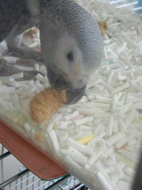 DSCN0820.JPG