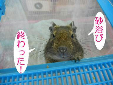 DSCN0783.JPG