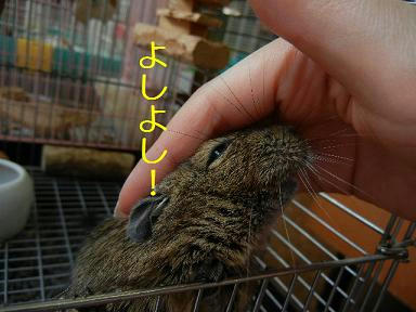 DSCN0889.JPG