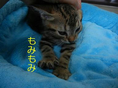DSCN0866.JPG