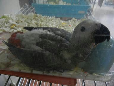 DSCN1029.JPG
