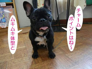 DSCN1043.JPG