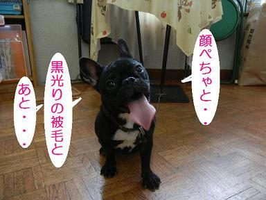 DSCN1050.JPG