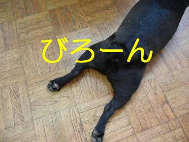 DSCN0675.JPG