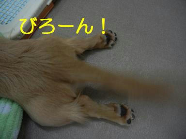 DSCN1081.JPG