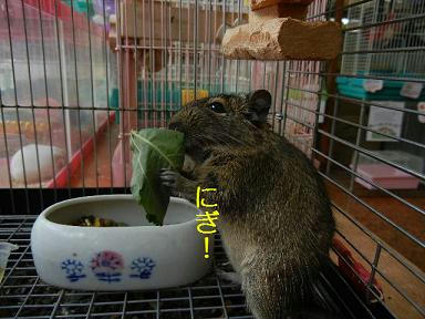 DSCN1149.JPG