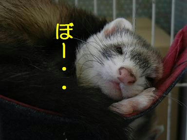 DSCN1173.JPG