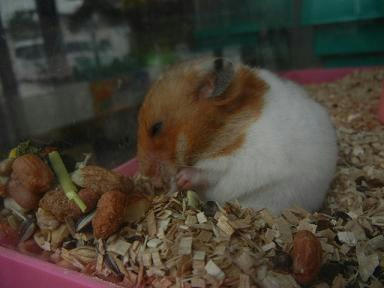 DSCN1140.JPG