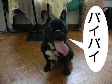 DSCN1044.JPG