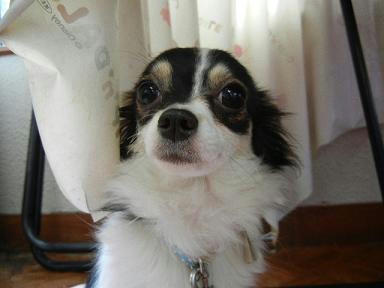 DSCN1250.JPG
