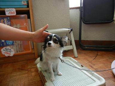 DSCN1276.JPG