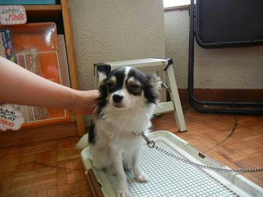 DSCN1282.JPG