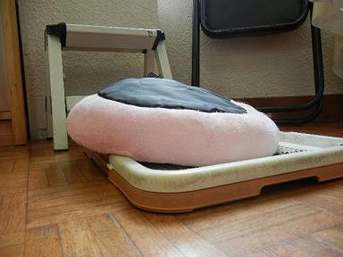 DSCN1286.JPG