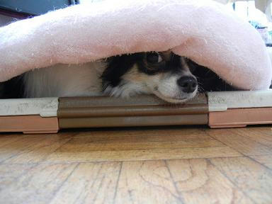 DSCN1290.JPG
