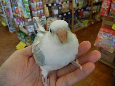 DSCN1221.JPG