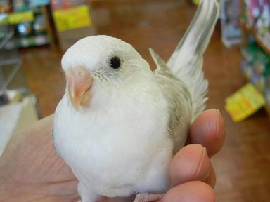DSCN1225.JPG