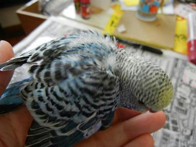 DSCN1339.JPG