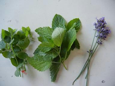 DSCN1508.JPG