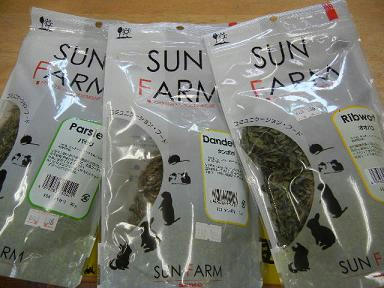 DSCN1578.JPG