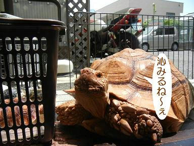 DSCN1576.JPG
