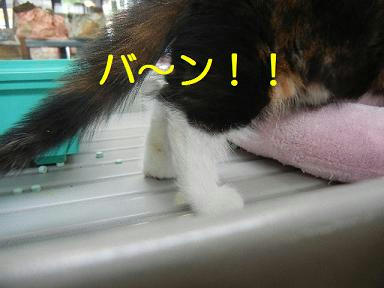 DSCN1645.JPG