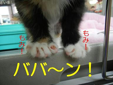 DSCN1679.JPG