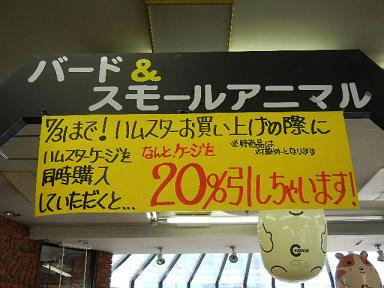 DSCN1740.JPG