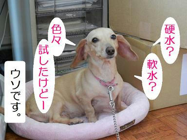DSCN1786.JPG