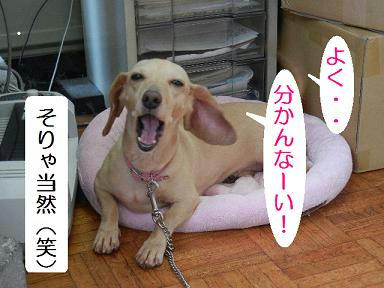 DSCN1783.JPG