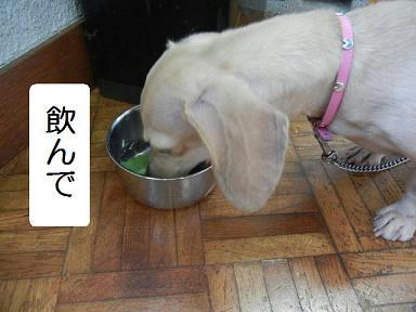 DSCN1819.JPG